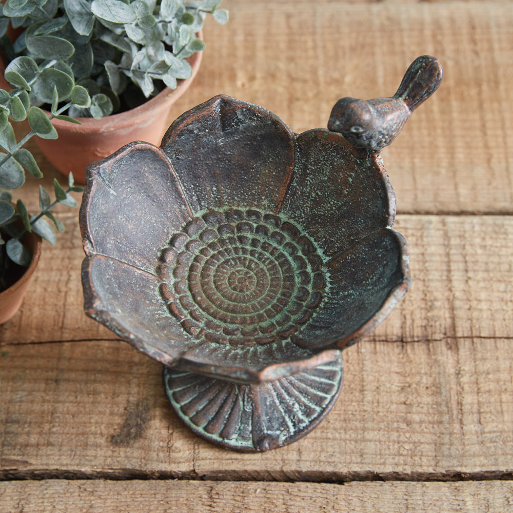 Big Bloom Feeder Dish - Bombay Mercantile