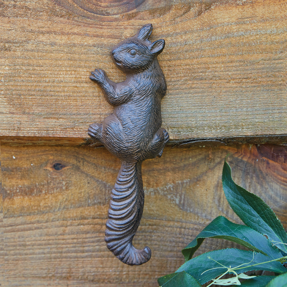 Climbing Squirrel Wall Hook - Box of 2 - Bombay Mercantile