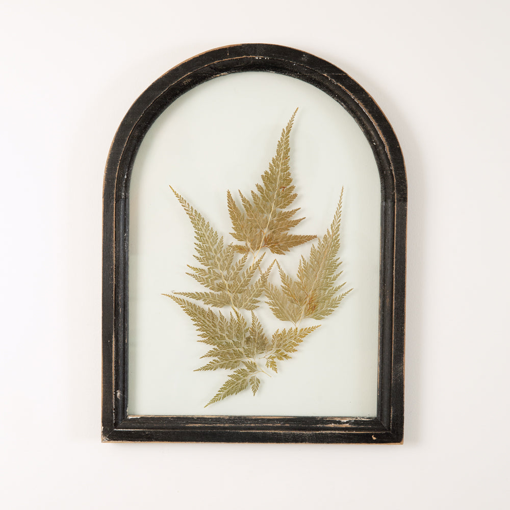 Black Arched Botanical Wall Decor - Bombay Mercantile
