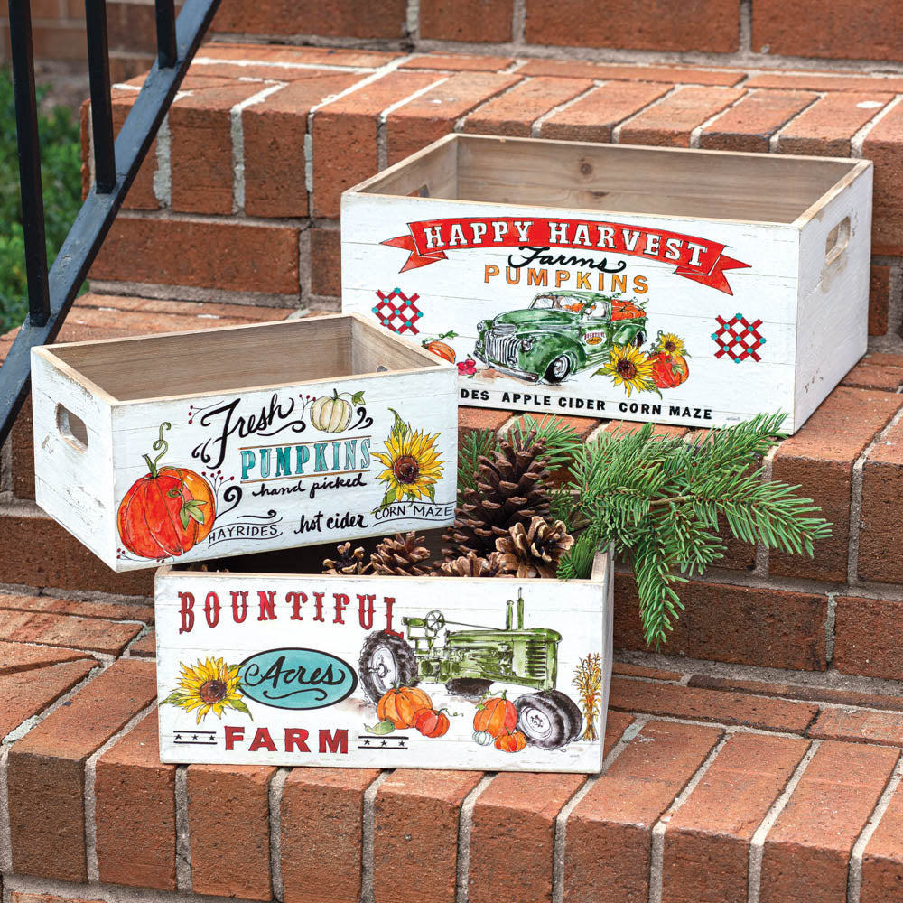 Set of Three Wooden Storage Boxes - Bombay Mercantile