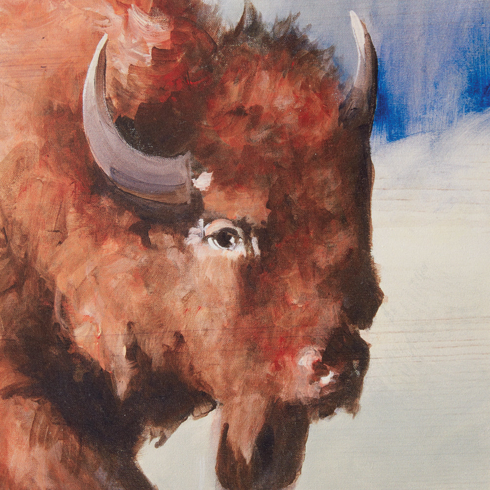 American Bison Wall Art - Bombay Mercantile