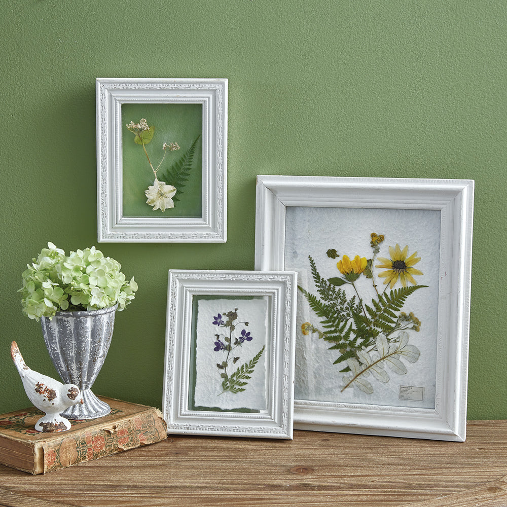 Pressed Botanical Wall Decor - Sunflower - Bombay Mercantile