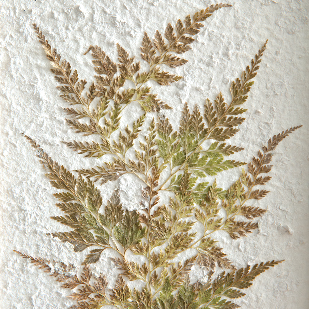 Pressed Botanical Fern on Stand - Bombay Mercantile