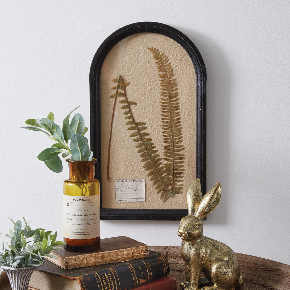 Pressed Botanical Wall Decor - Boston Fern - Bombay Mercantile