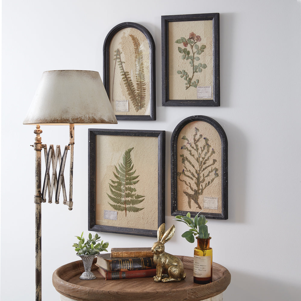Pressed Botanical Wall Decor - Japanese Rose - Bombay Mercantile