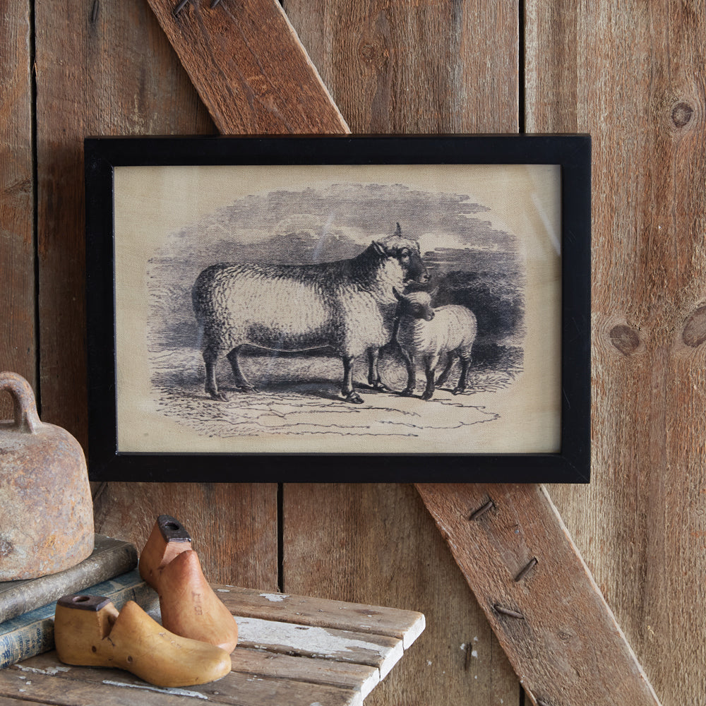 Homestead Framed Canvas - Lambs - Bombay Mercantile