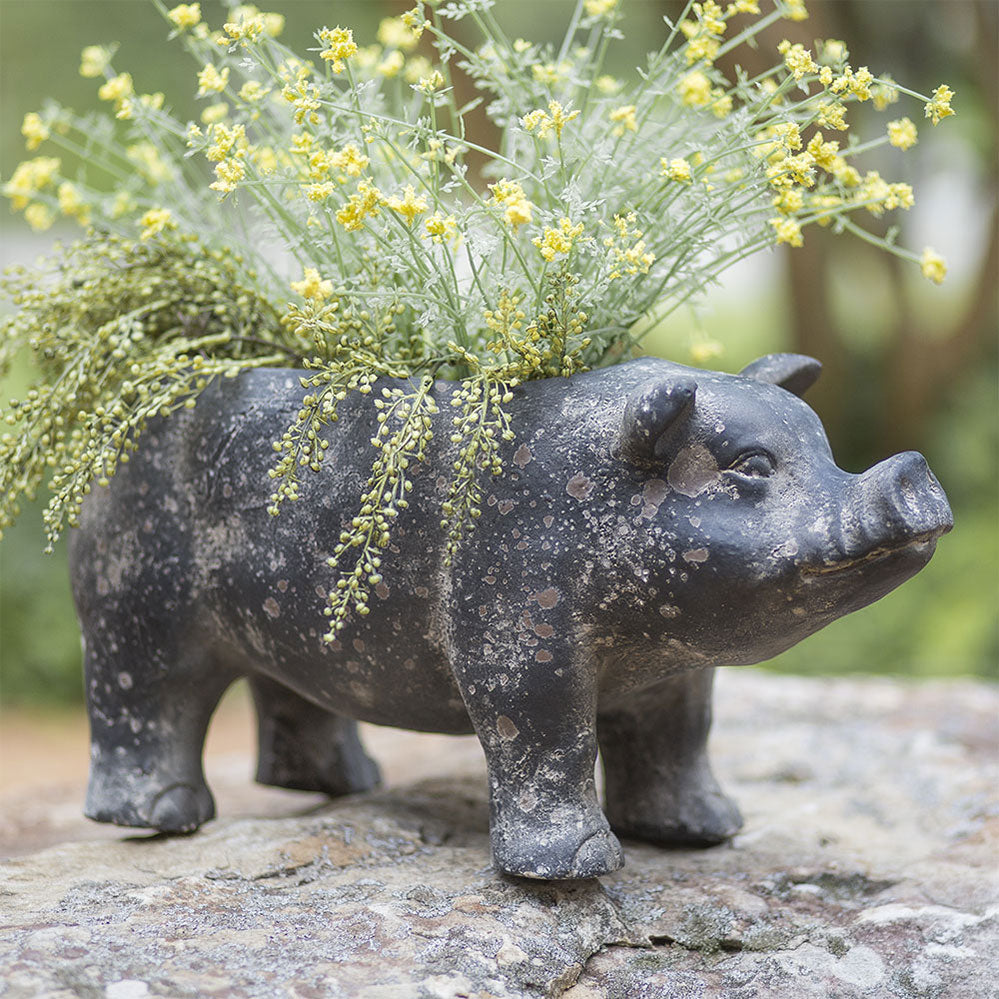 Large Pig Planter - Bombay Mercantile