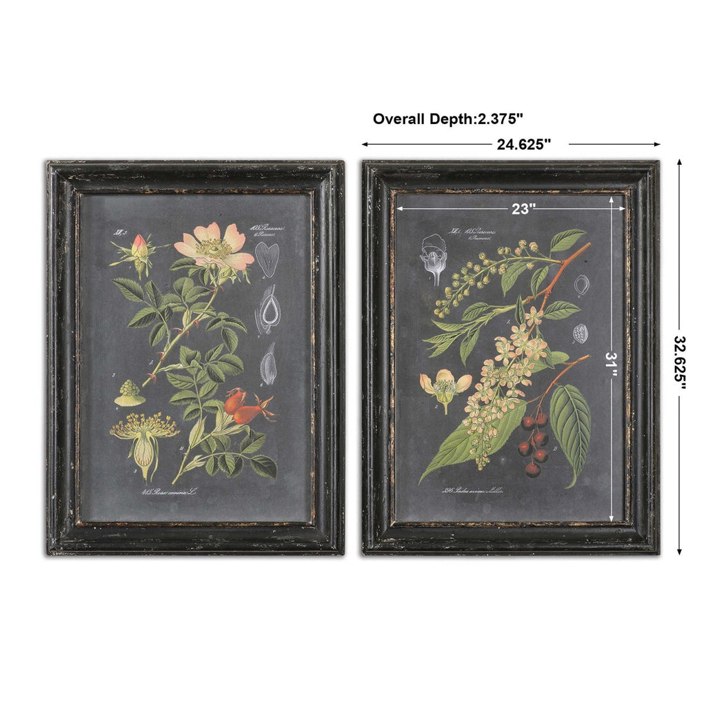 Midnight Botanicals Wall Art Set of 2 - Bombay Mercantile