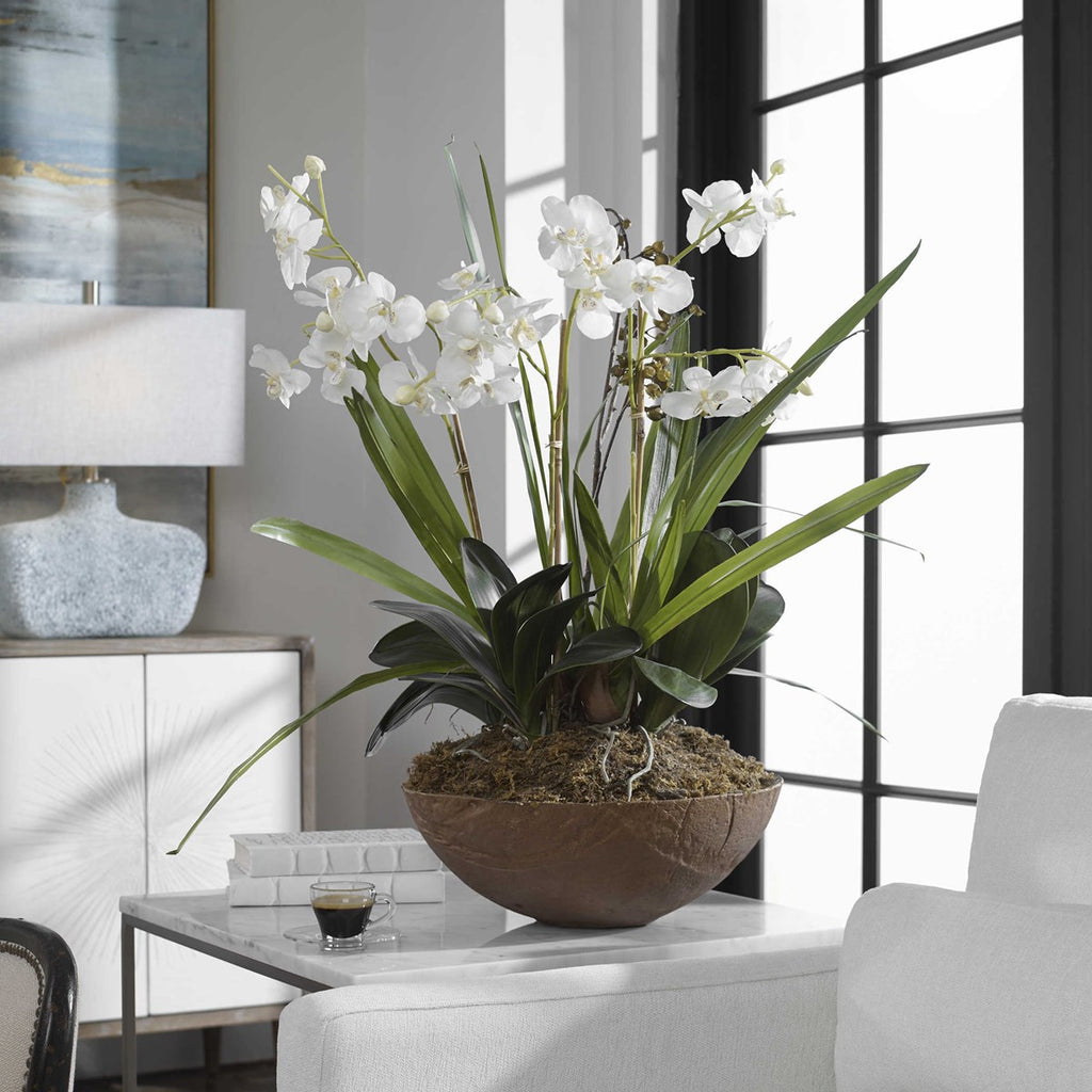 Moth Orchid Planter - Bombay Mercantile