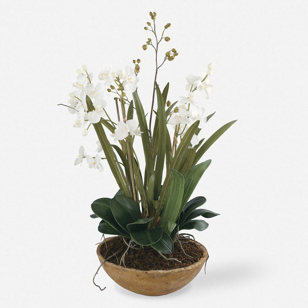 Moth Orchid Planter - Bombay Mercantile