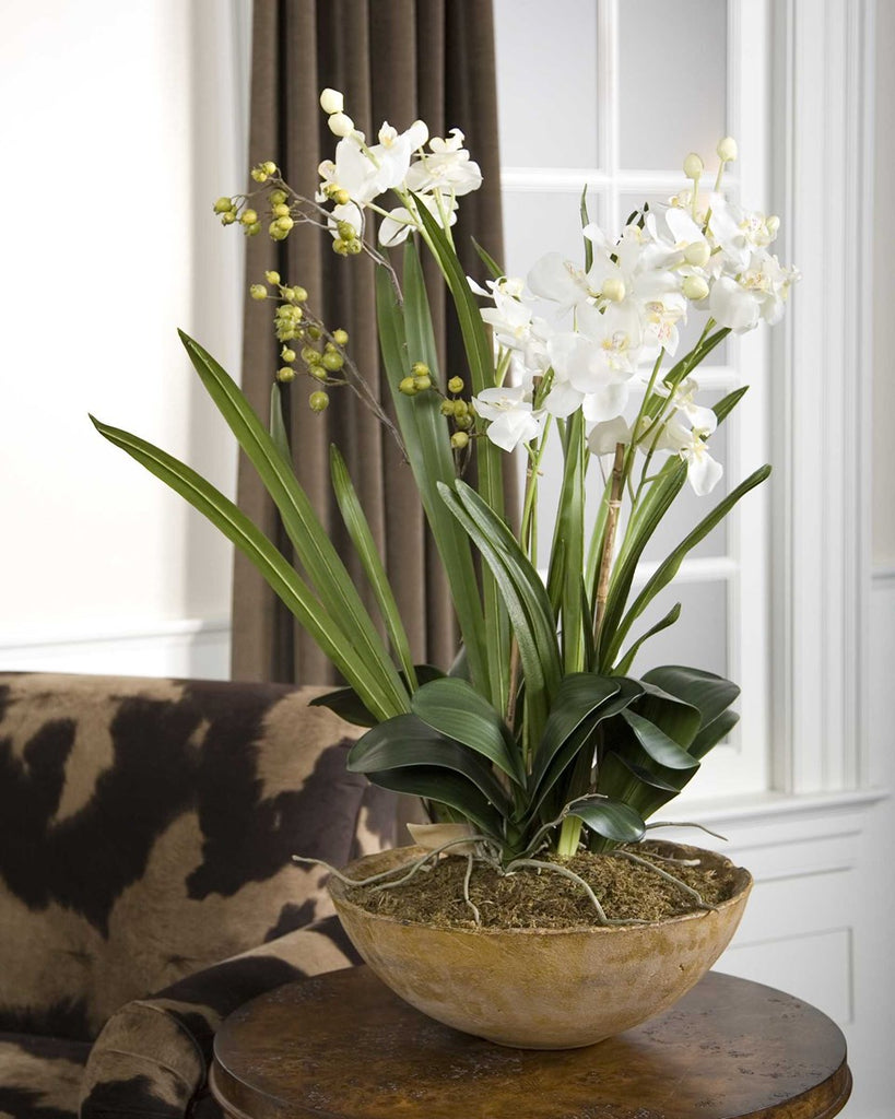 Moth Orchid Planter - Bombay Mercantile