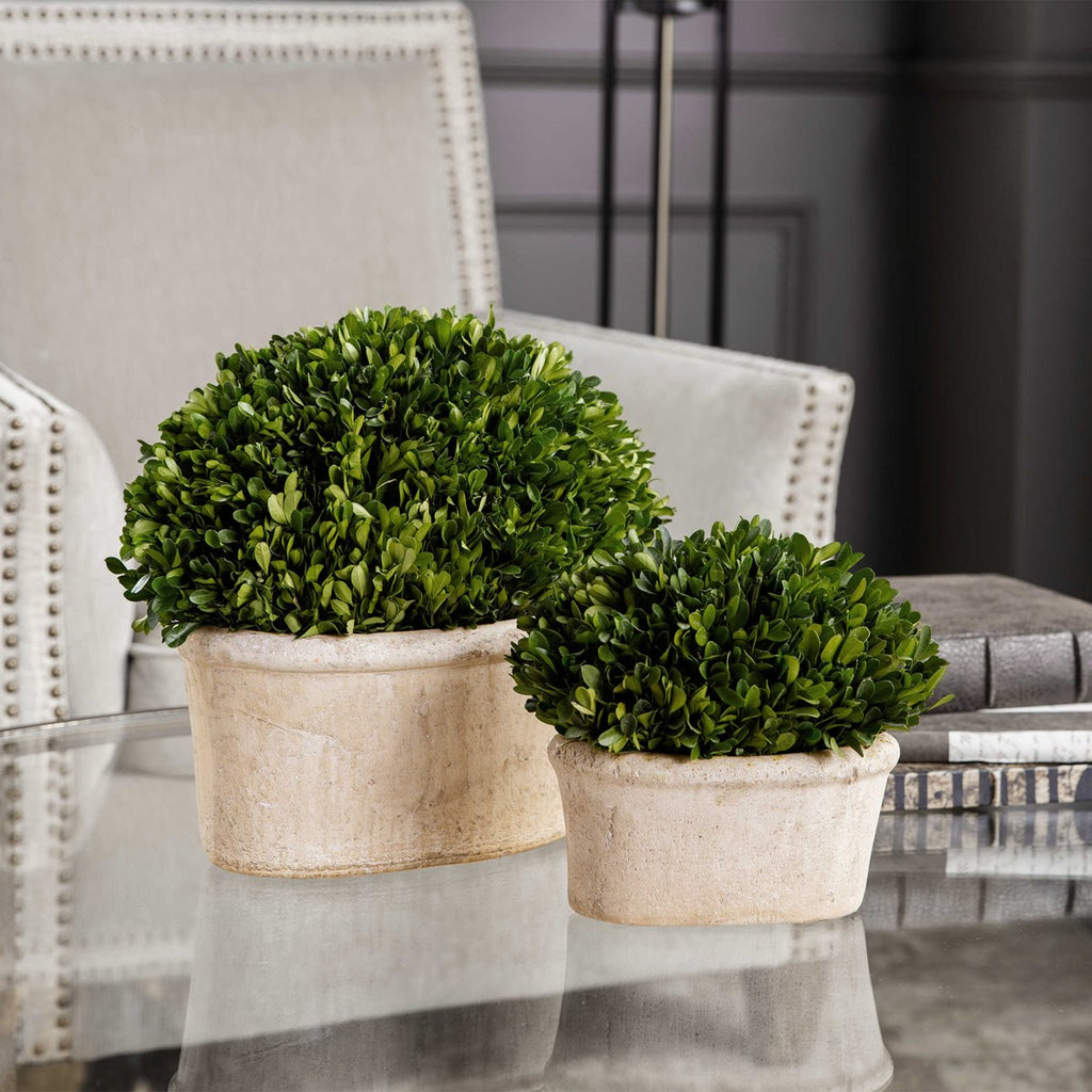 Oval Domes Preserved Boxwood Set of 2 - Bombay Mercantile