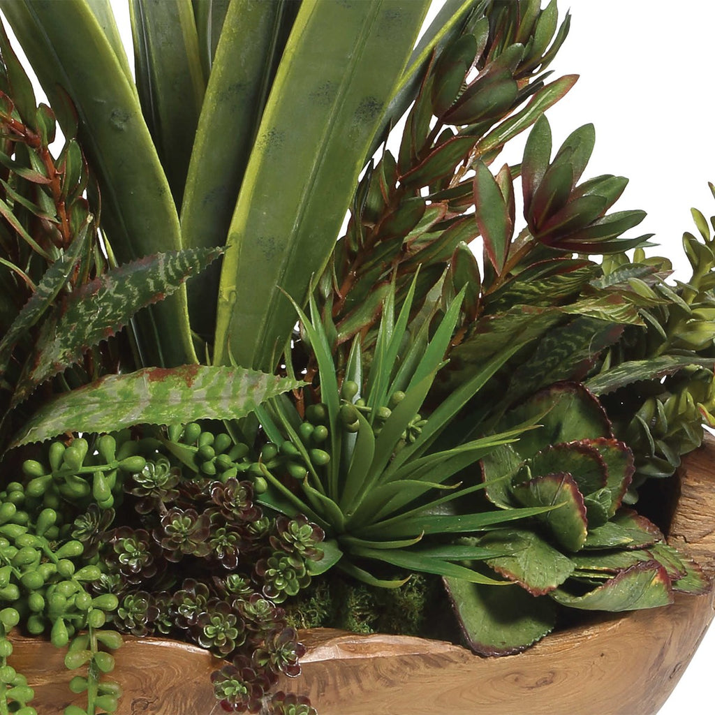 Salar Succulents In Teak Bowl - Bombay Mercantile