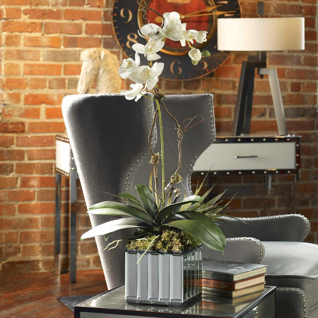 White Kaleama Orchids - Bombay Mercantile