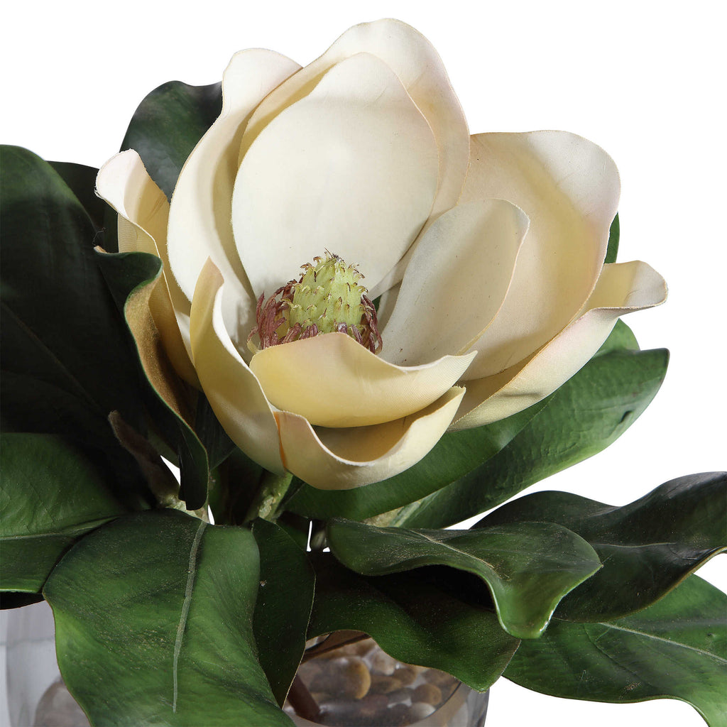 Celia Silk Magnolia Accent - Bombay Mercantile