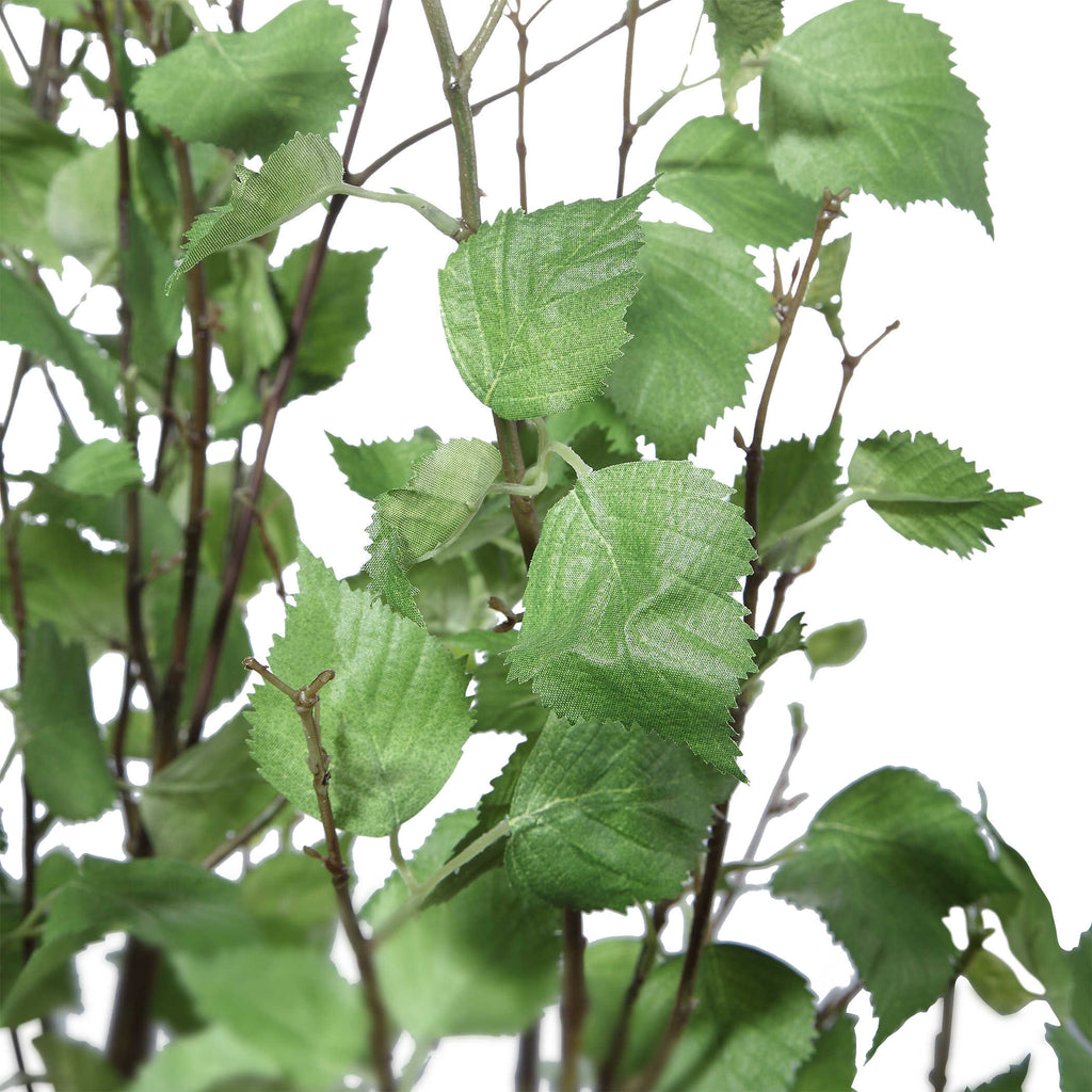 Aldis Potted River Birch - Bombay Mercantile