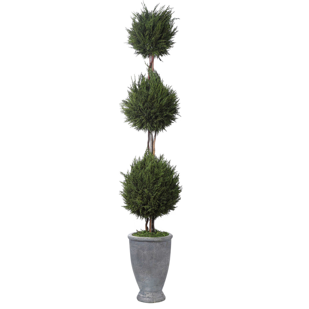 Cypress Triple Topiary - Bombay Mercantile