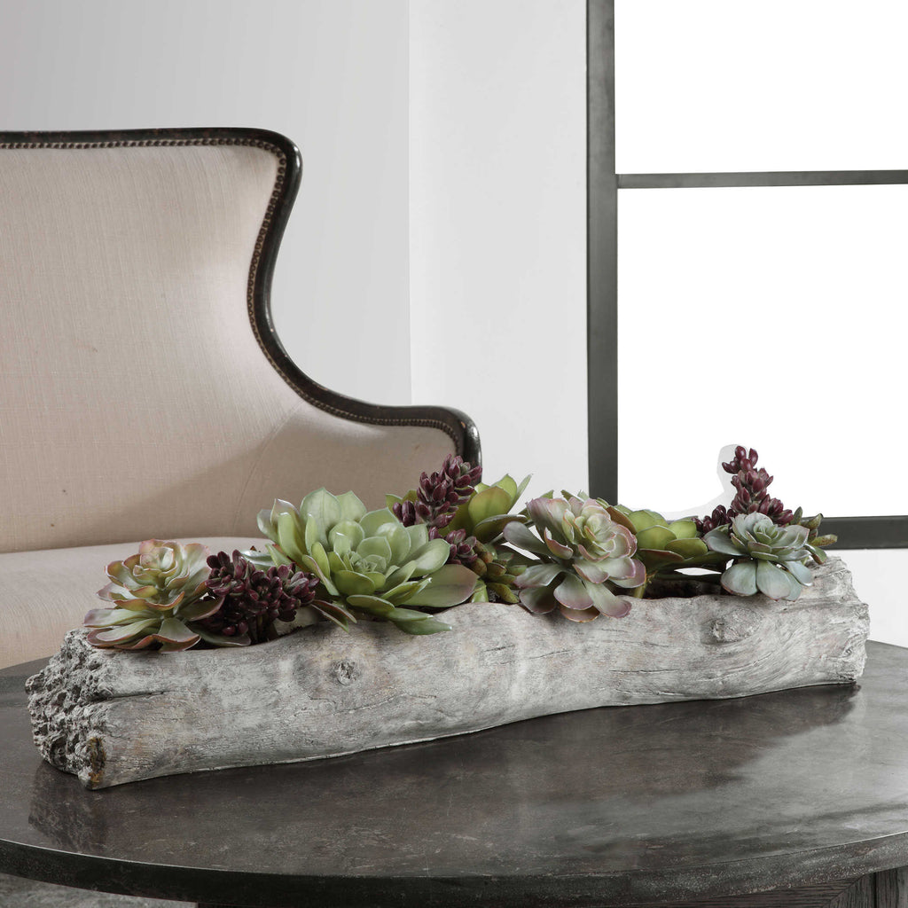Charita Lush Succulents - Bombay Mercantile