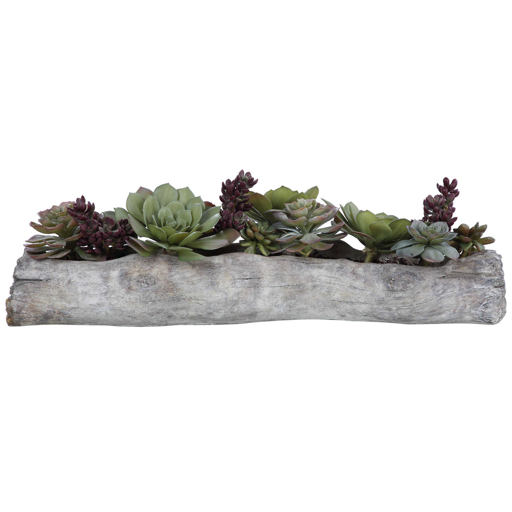 Charita Lush Succulents - Bombay Mercantile