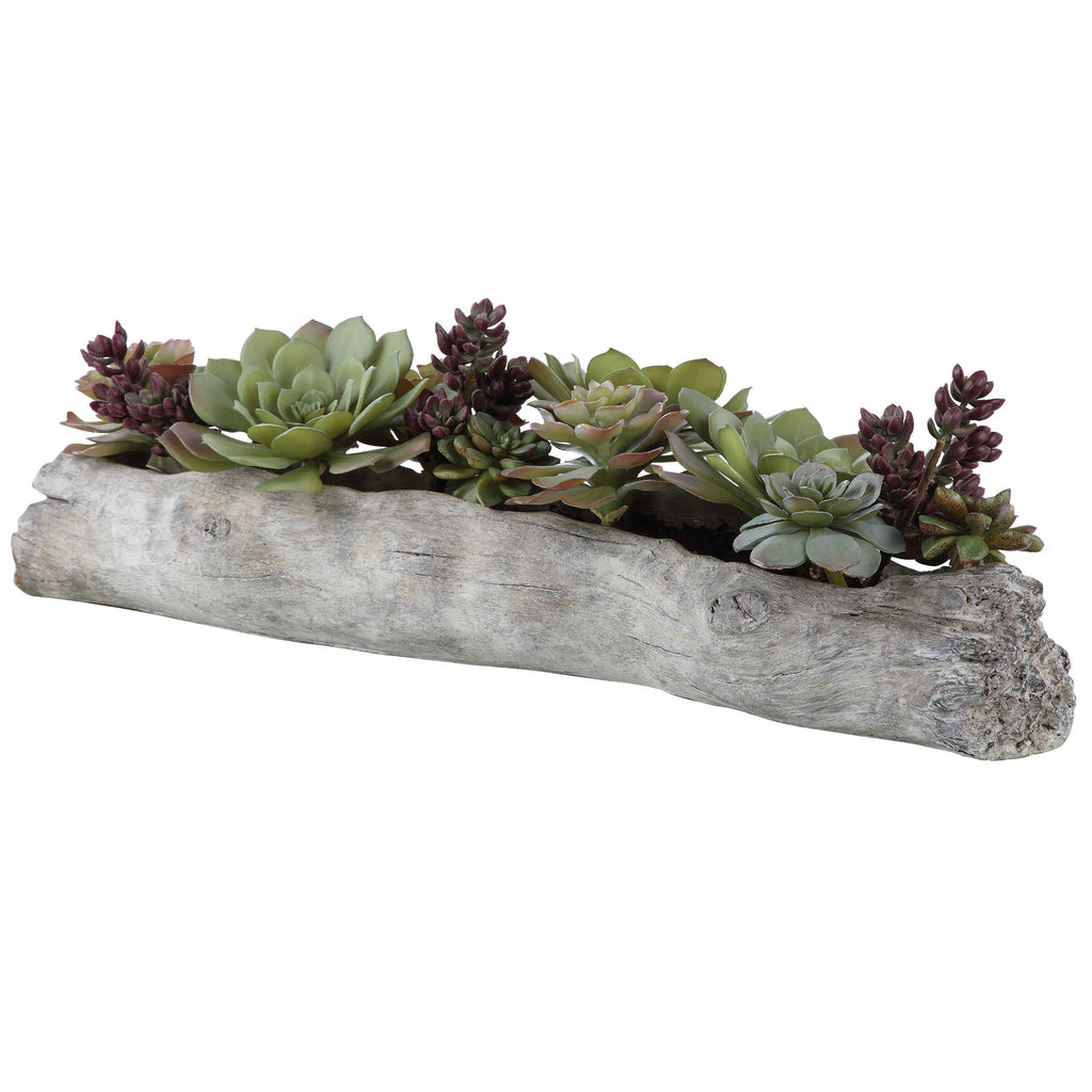 Charita Lush Succulents - Bombay Mercantile