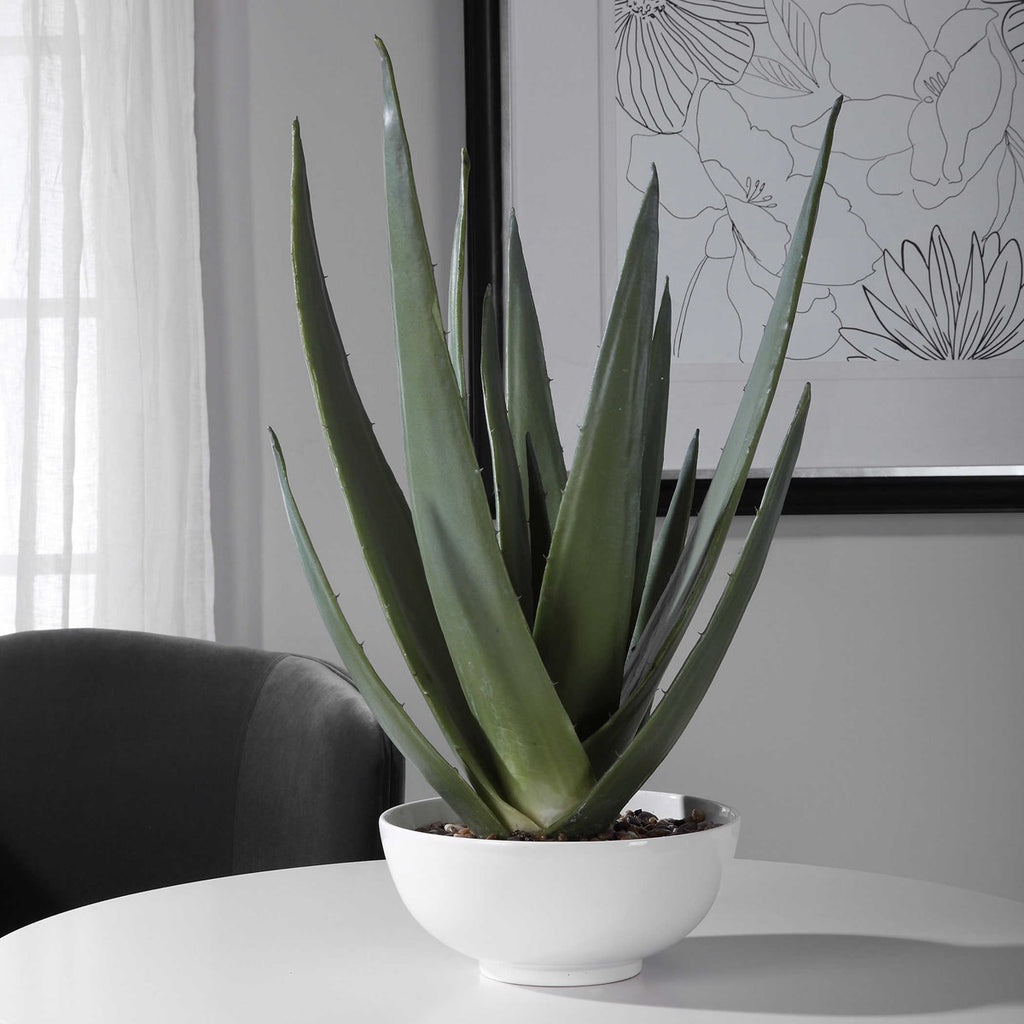 Evarado Aloe Planter - Bombay Mercantile