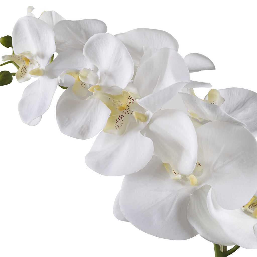 Cami White Orchid - Bombay Mercantile