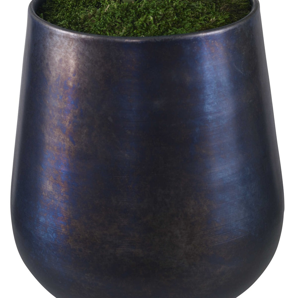 Mari Calla Accent Plant - Bombay Mercantile