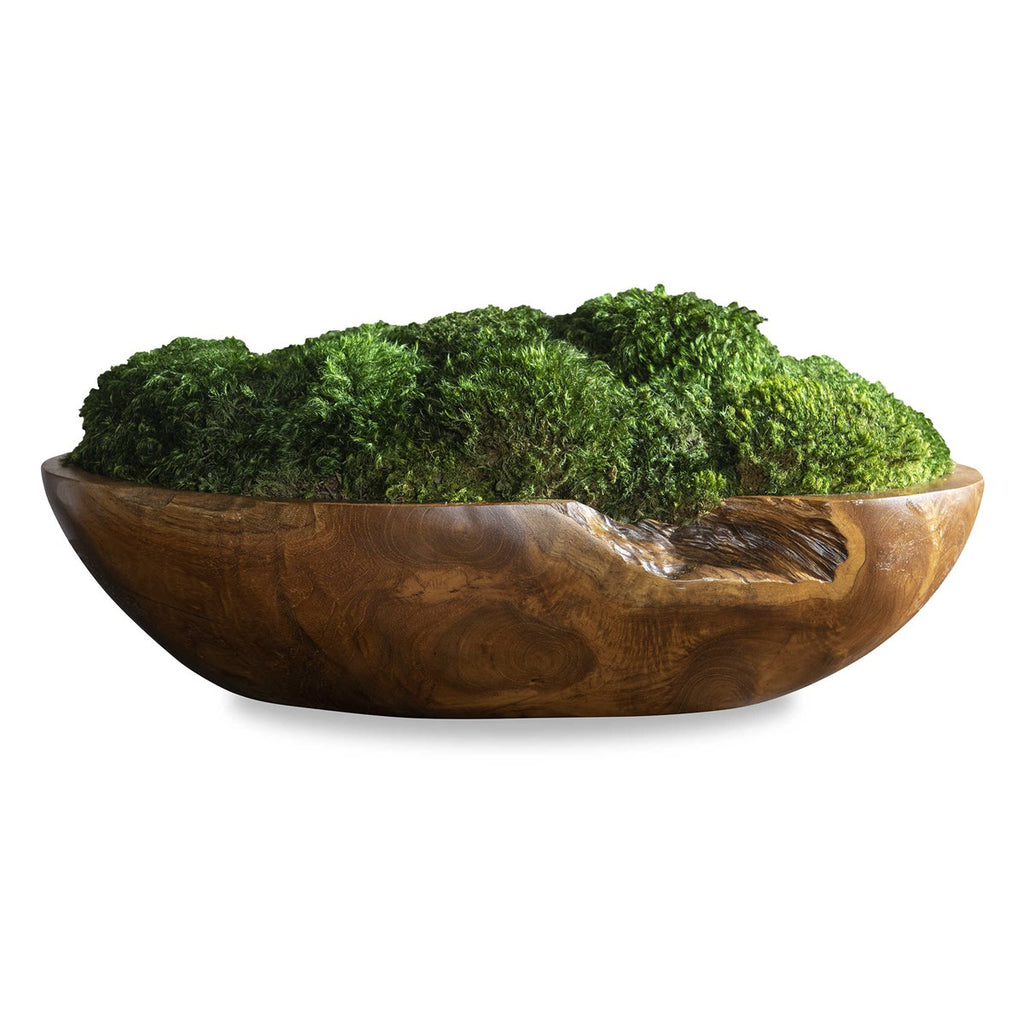 Kinsale Moss Centerpiece - Bombay Mercantile