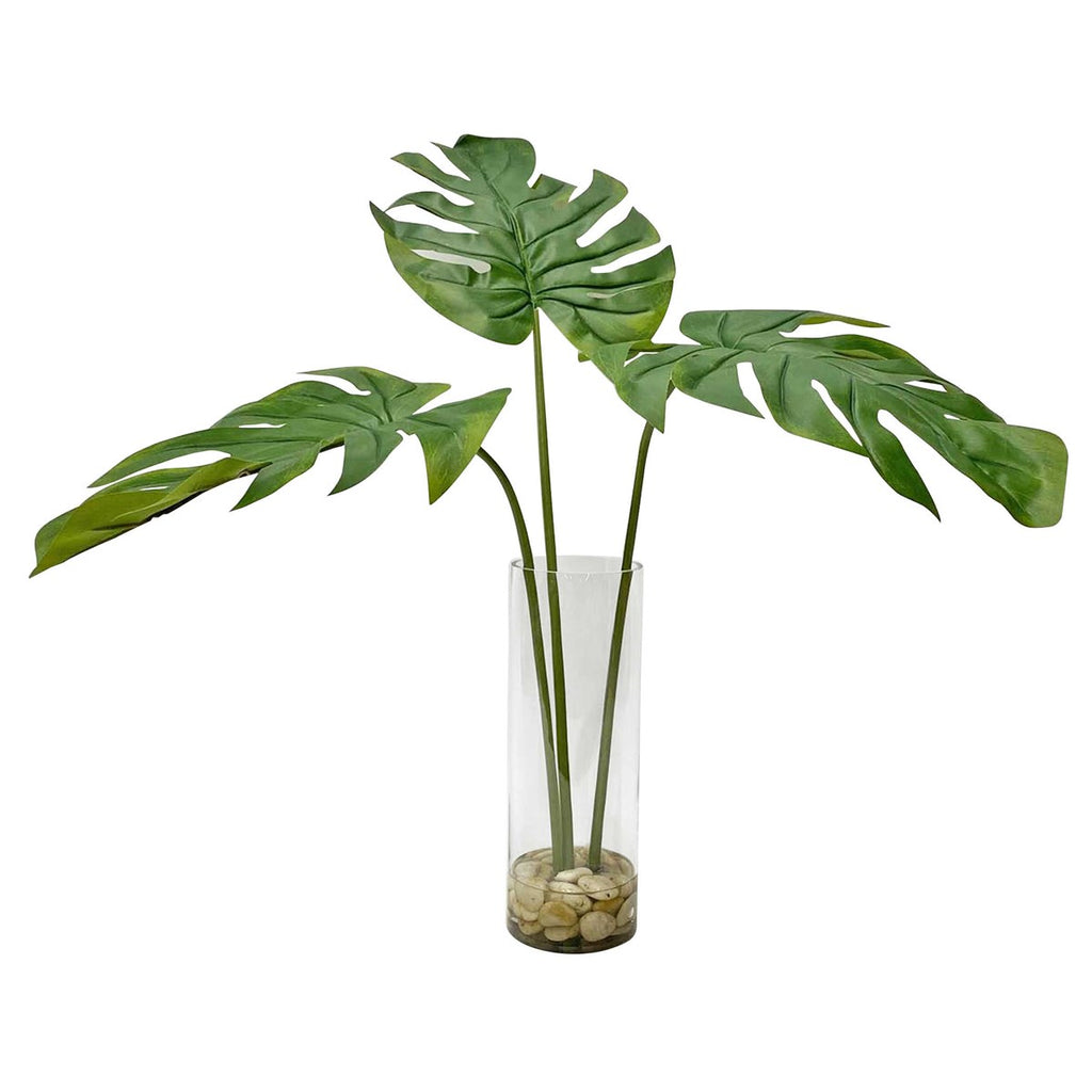 Ibero Split Leaf Palm - Bombay Mercantile