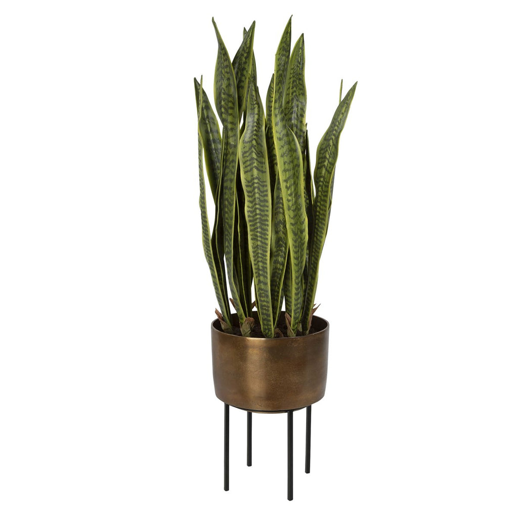 Fasita Brass Planter 2 Cartons - Bombay Mercantile