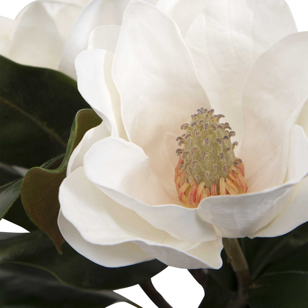 Middleton Magnolia Flower Centerpiece - Bombay Mercantile