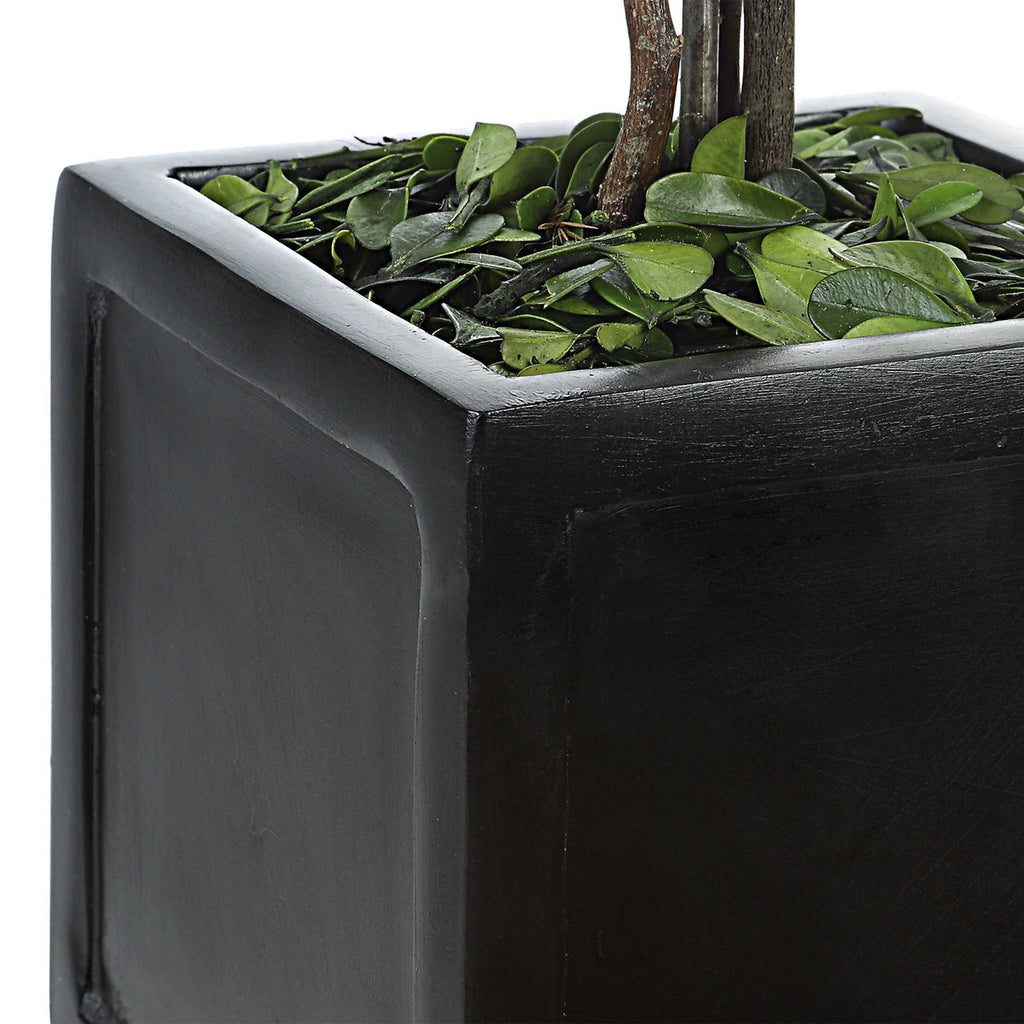 Preserved Boxwood Square Topiaries, Set of 2 - Bombay Mercantile