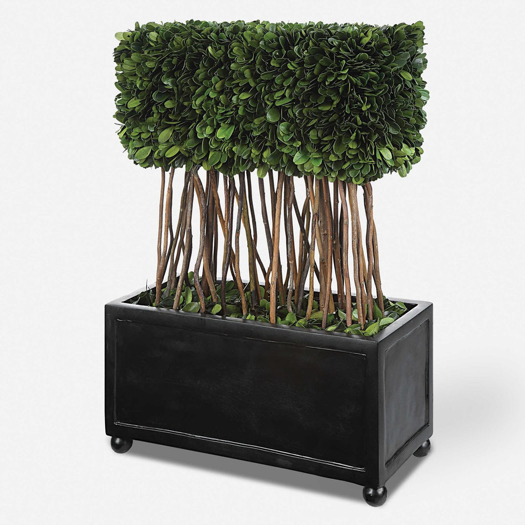 Preserved Boxwood Rectangular Topiary - Bombay Mercantile