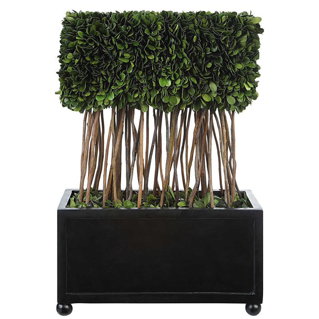 Preserved Boxwood Rectangular Topiary - Bombay Mercantile