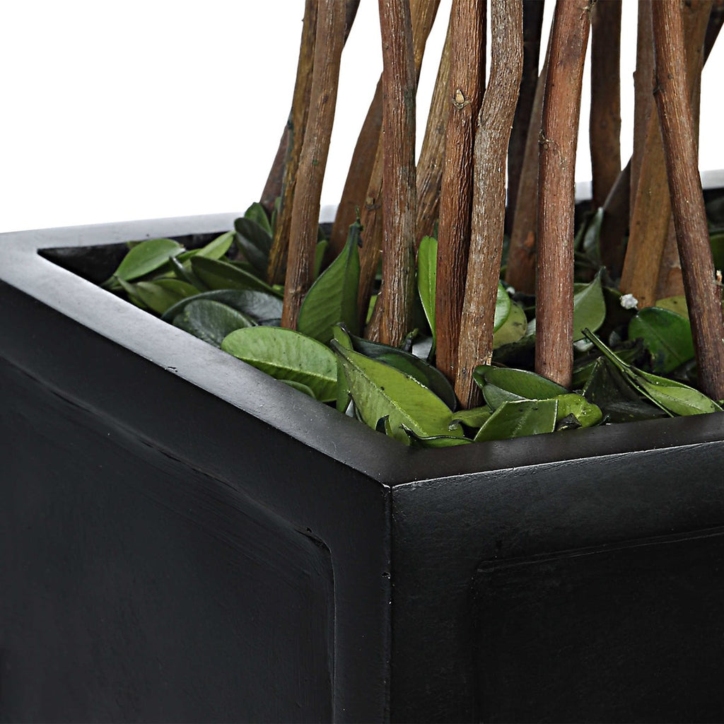 Preserved Boxwood Rectangular Topiary - Bombay Mercantile