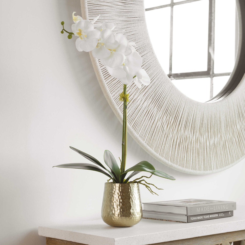 Cami Orchid With Brass Pot - Bombay Mercantile