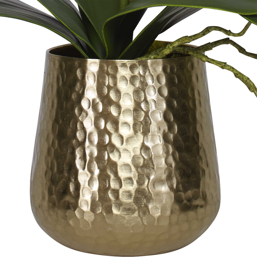 Cami Orchid With Brass Pot - Bombay Mercantile