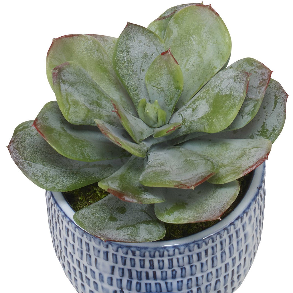 Puebla Greenery In Blue & White Pots, Set of 3 - Bombay Mercantile