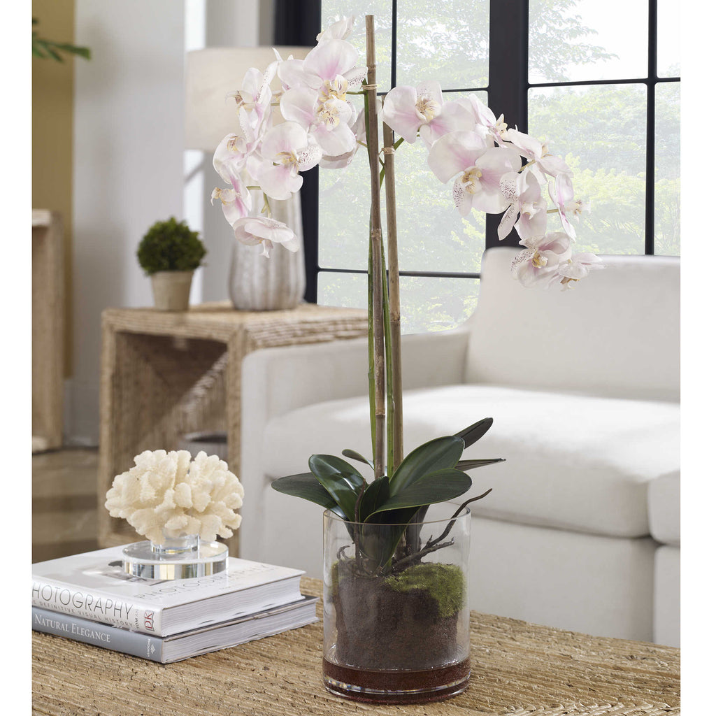 Blush Pink And White Orchid - Bombay Mercantile