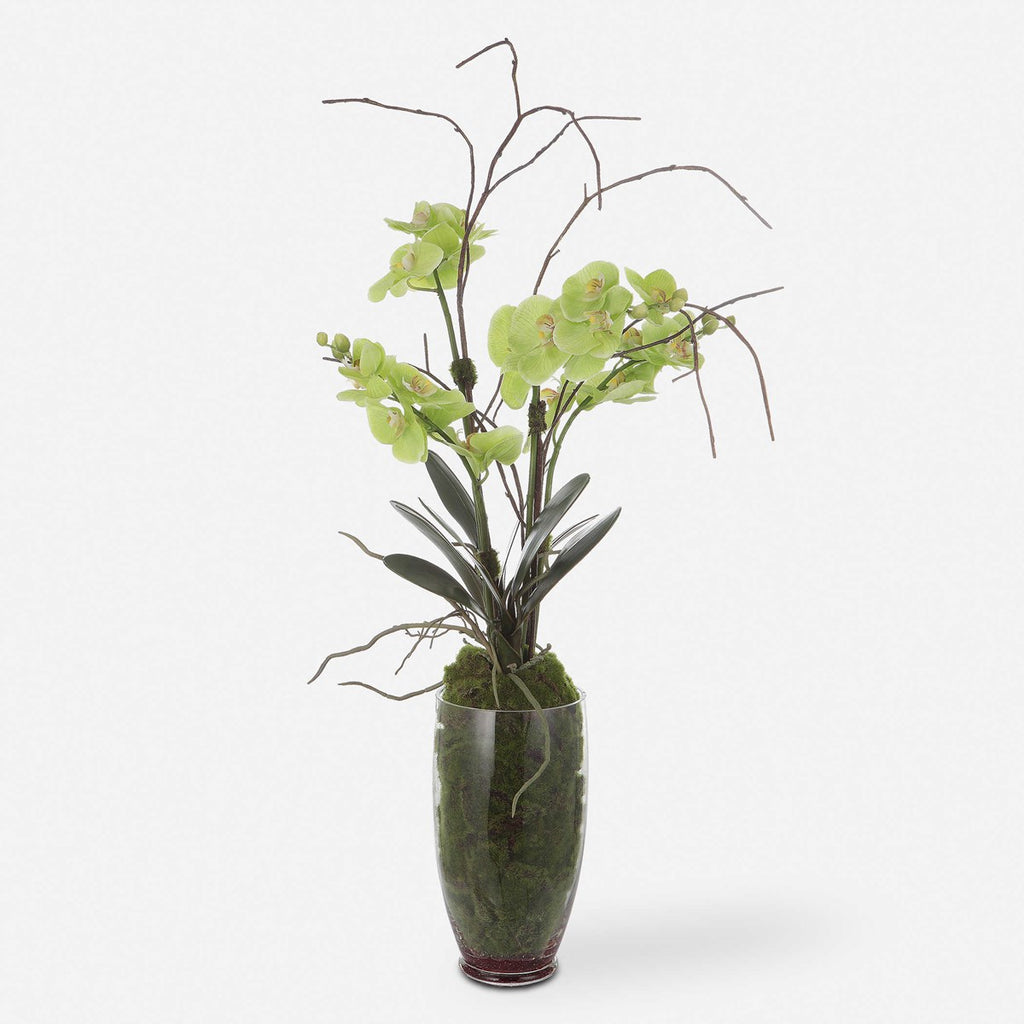 Valdive Orchid - Bombay Mercantile