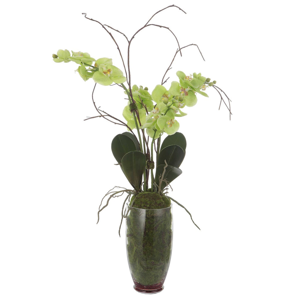 Valdive Orchid - Bombay Mercantile