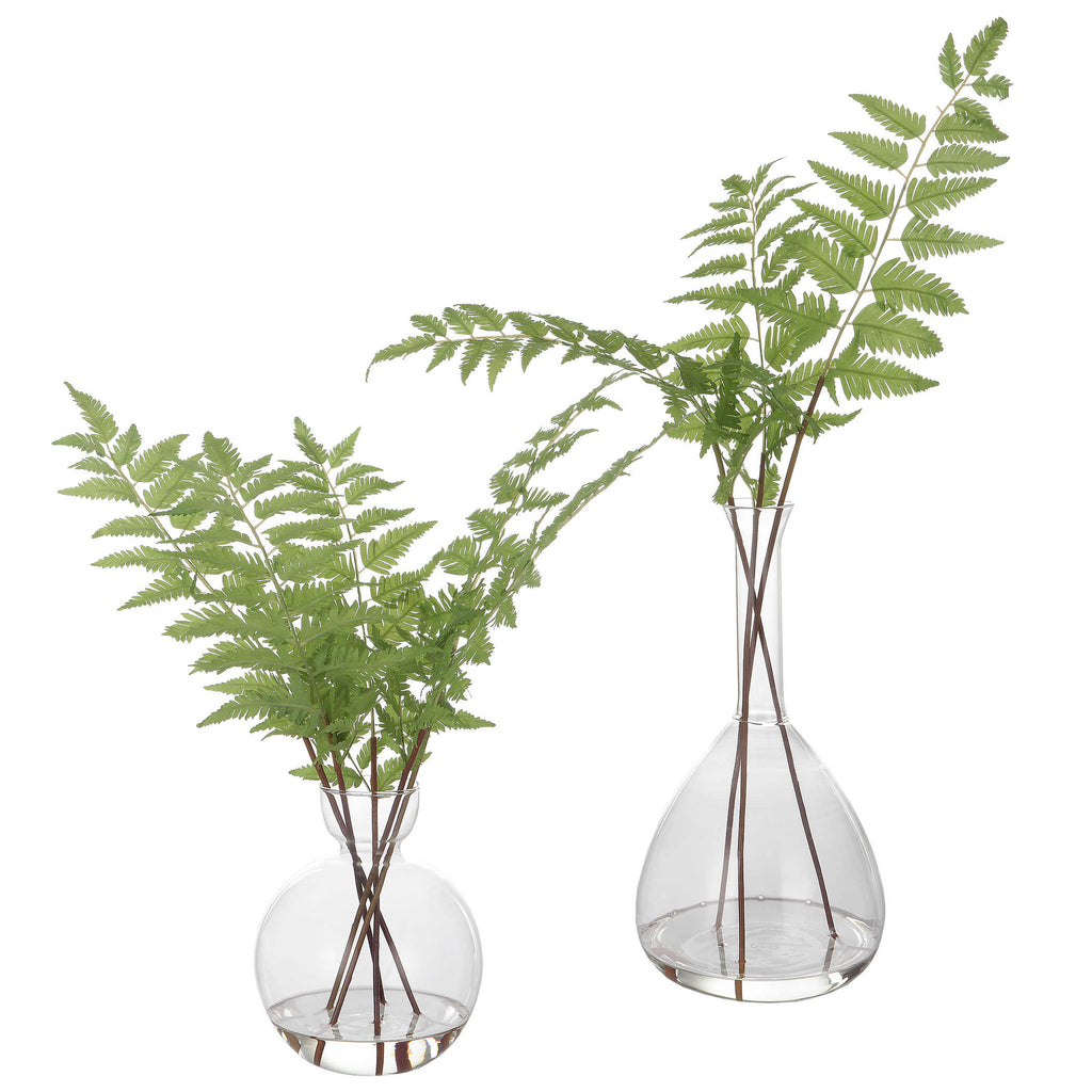 Country Ferns, Set of 2 - Bombay Mercantile