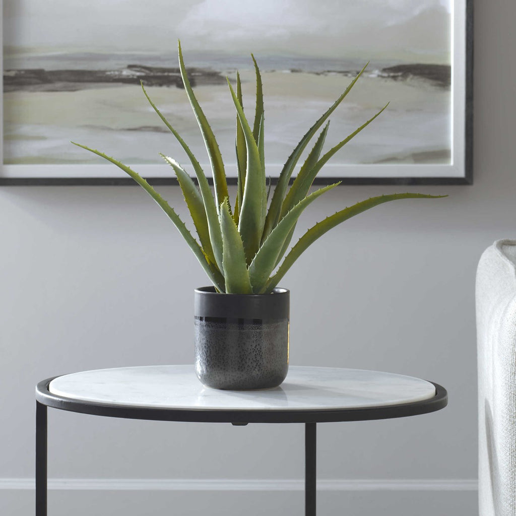 Tucson Aloe Planter - Bombay Mercantile