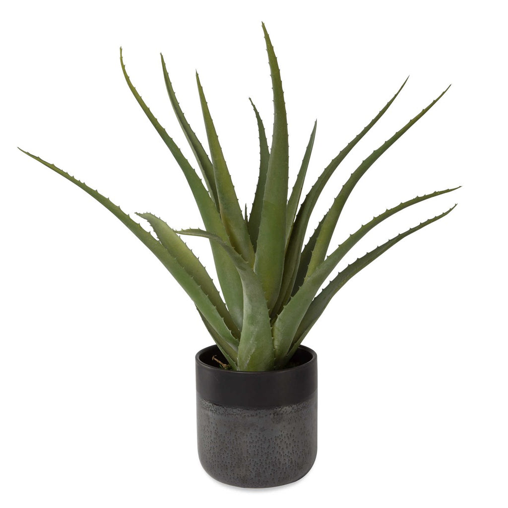 Tucson Aloe Planter - Bombay Mercantile