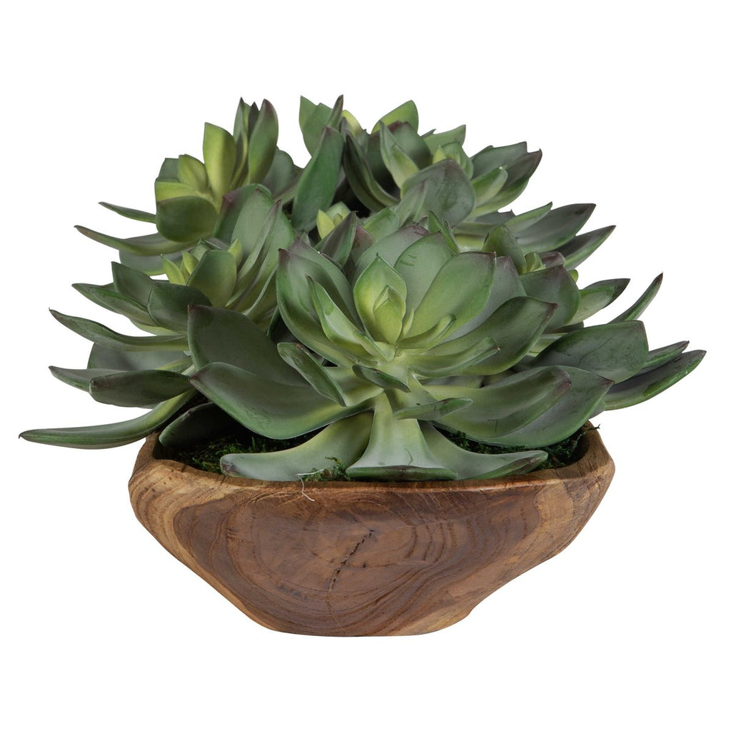 Yuma Succulent Centerpiece - Bombay Mercantile