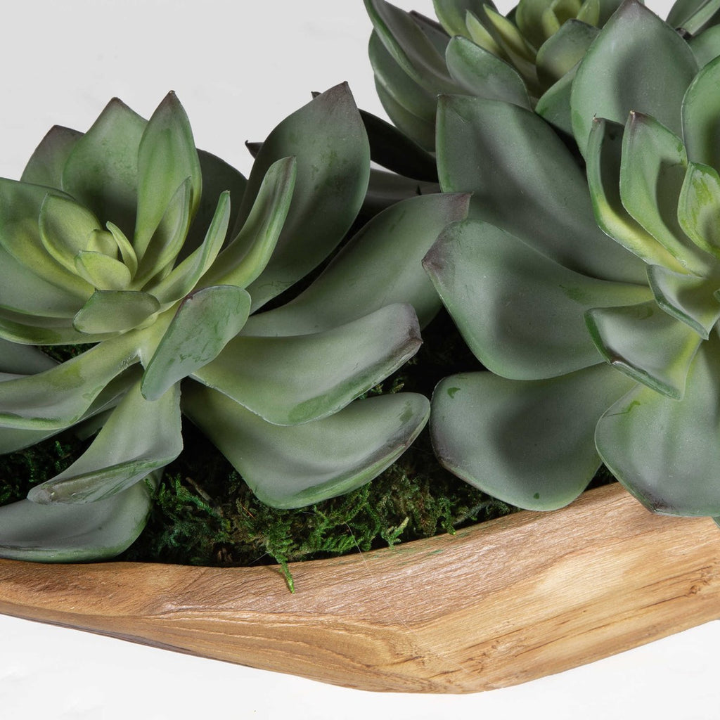 Yuma Succulent Centerpiece - Bombay Mercantile