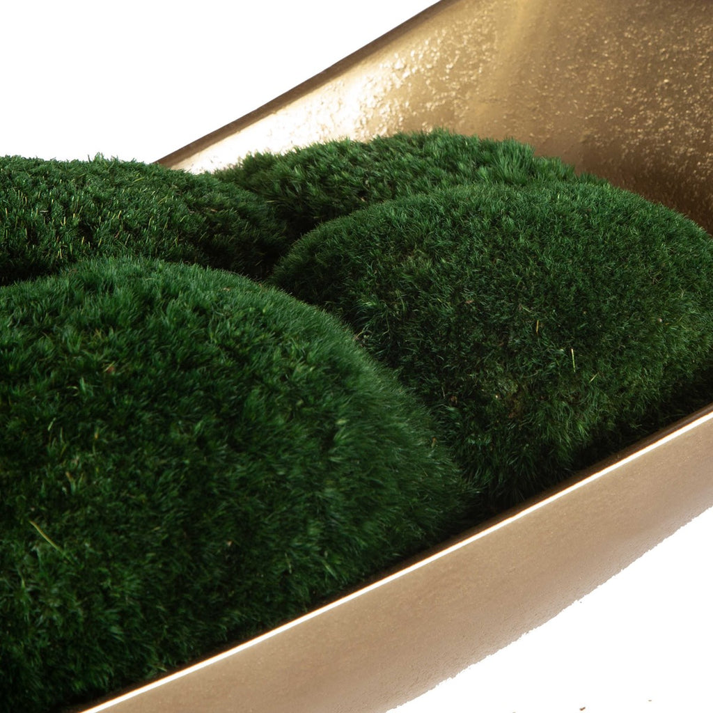 Venice Moss Centerpiece - Bombay Mercantile