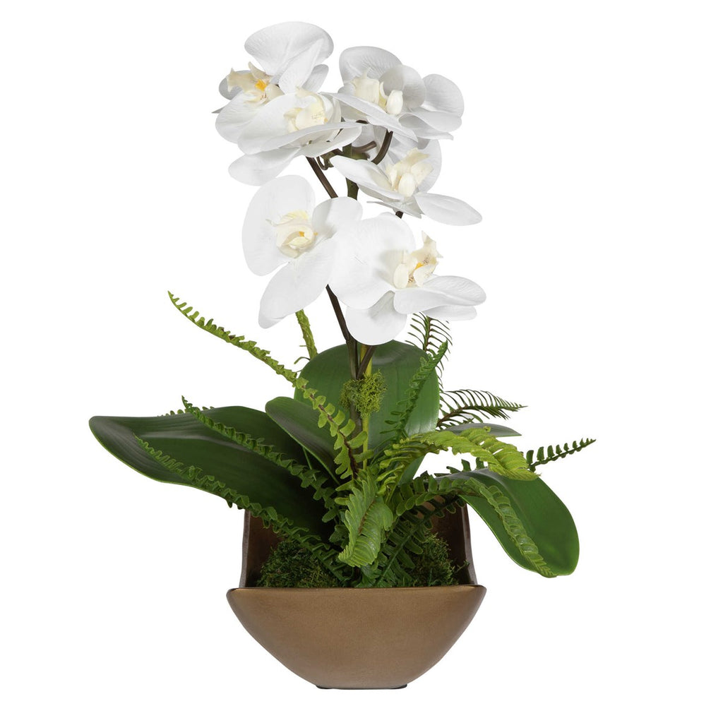 Transcend Orchid Centerpiece - Bombay Mercantile