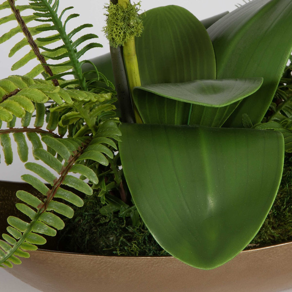 Transcend Orchid Centerpiece - Bombay Mercantile
