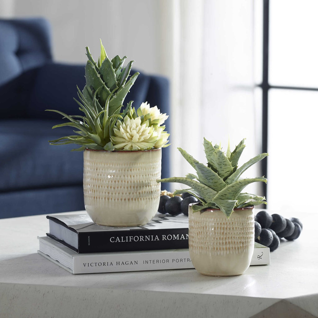 Seaside Succulents, Set of 2 - Bombay Mercantile